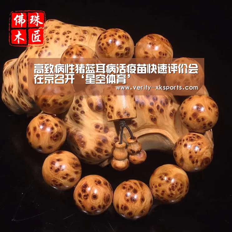 星空体育官网入口
