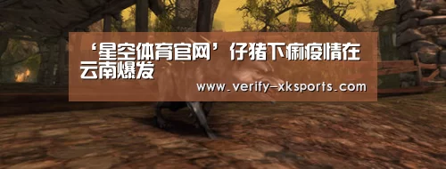 星空体育中国