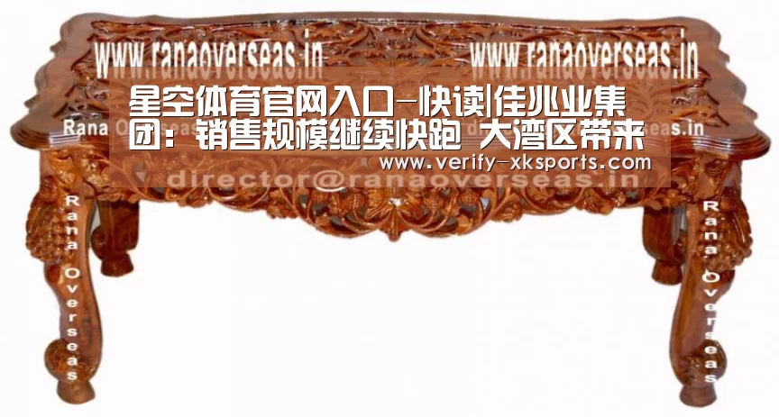 星空体育官网入口-快读|佳兆业集团:销售规模继续快跑 大湾区带来公司发展的“钻石时代”(图3) 星空体育中国