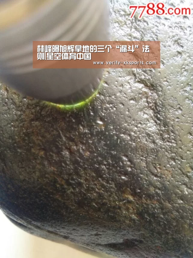 星空体育