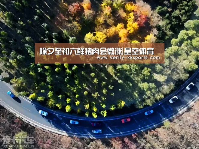 星空体育