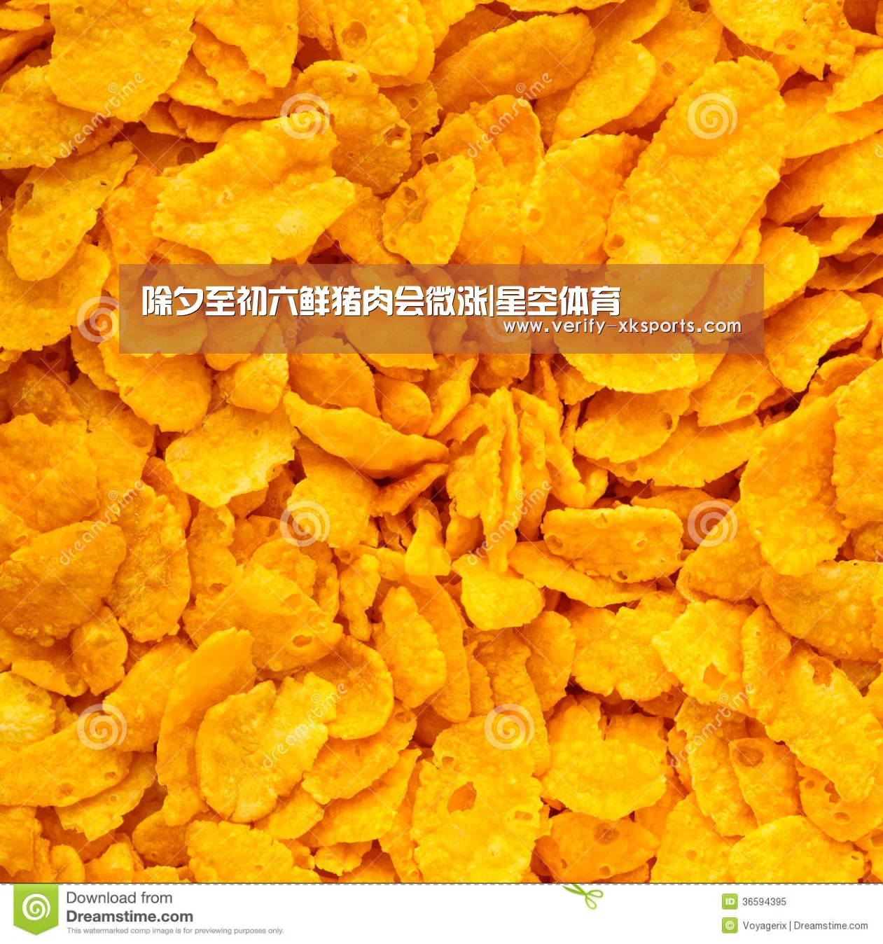 星空体育官网