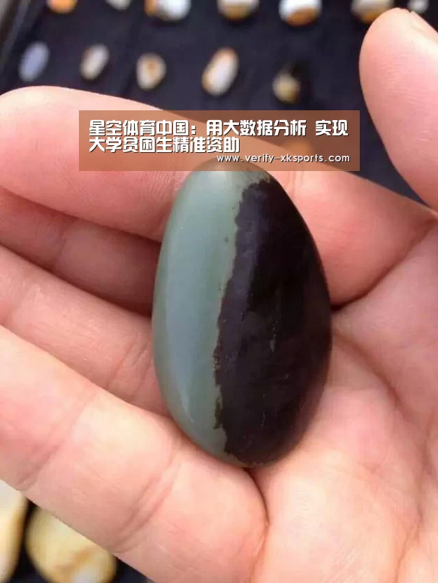 星空体育官网入口
