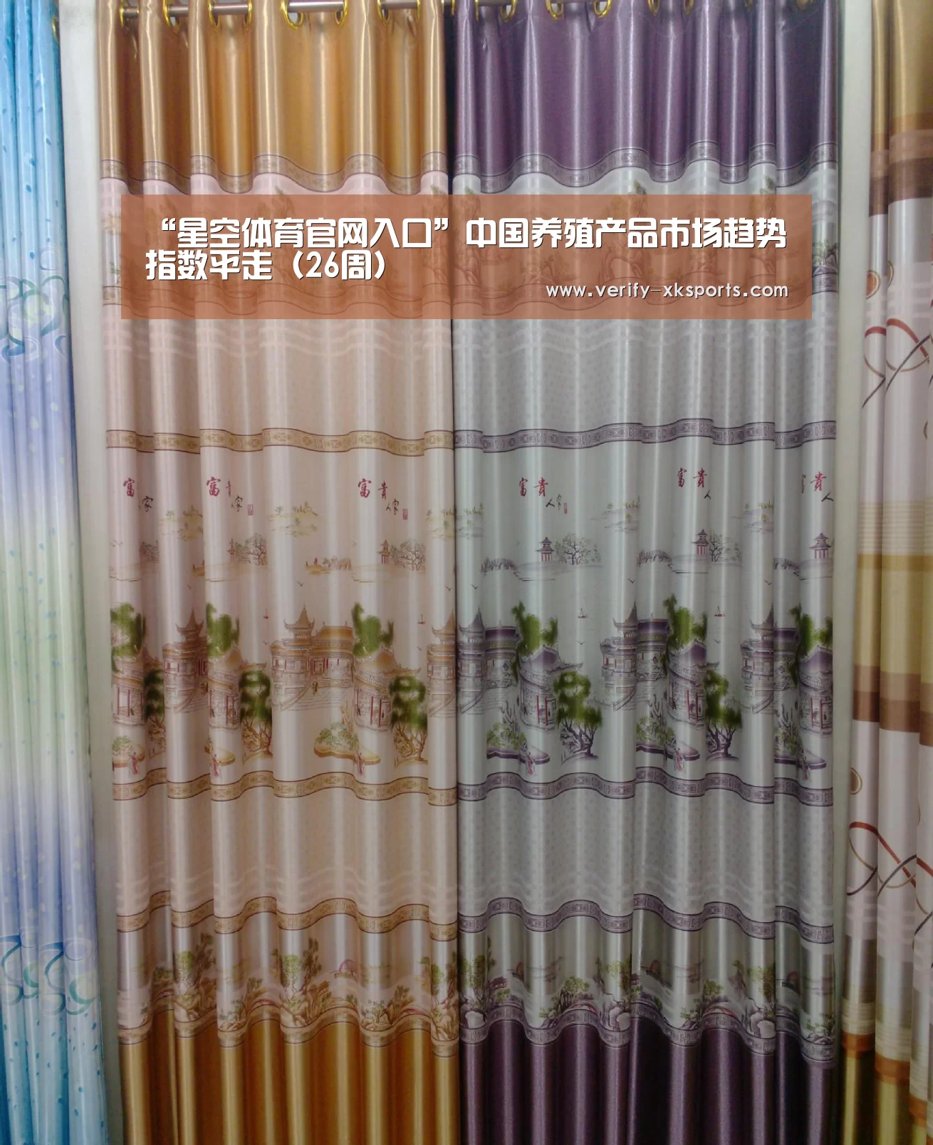 星空体育官网入口
