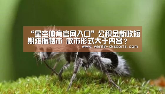 “星空体育官网入口”公积金新政短期难振楼市 救市形式大于内容?(图2) 星空体育官网